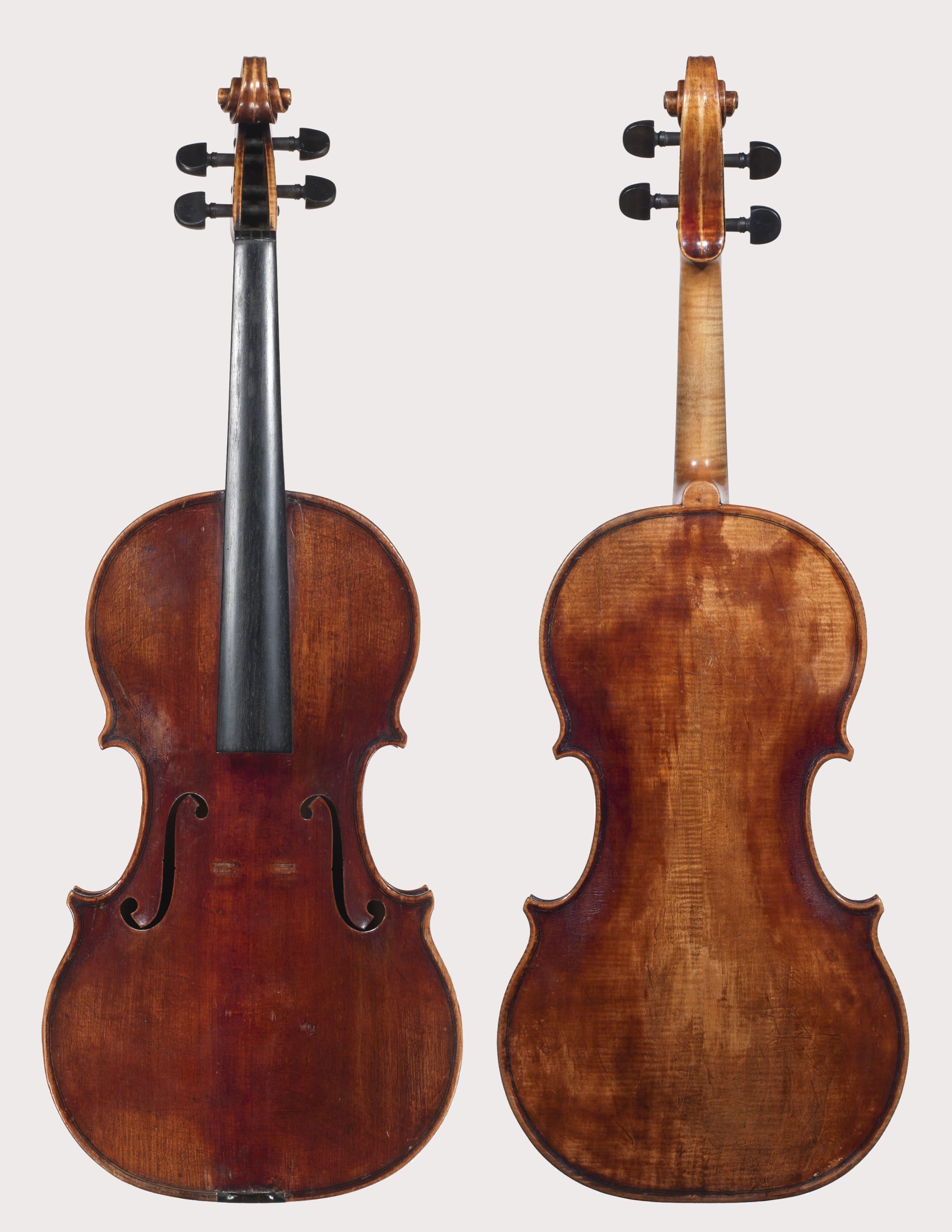 Homolka Viola